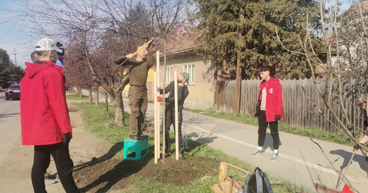 Faültetés civil kezdeményezésre